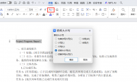 Word文本编辑快捷操作分享:快速更换大小写,添加带圈字符、字符边框