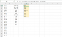 Excel筛选进阶技巧：利用FILTER函数一键搞定数据对比