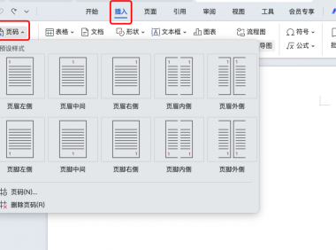 新手福音：WPS中设置页码的2种实用方法（附操作图解）